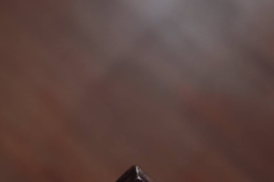Anillos