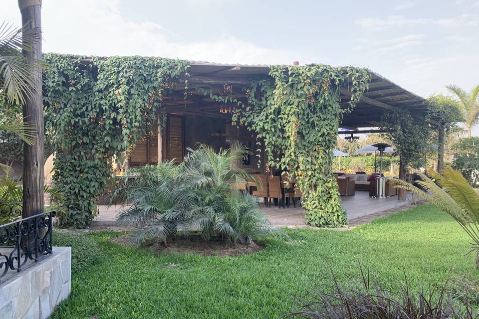 Terraza