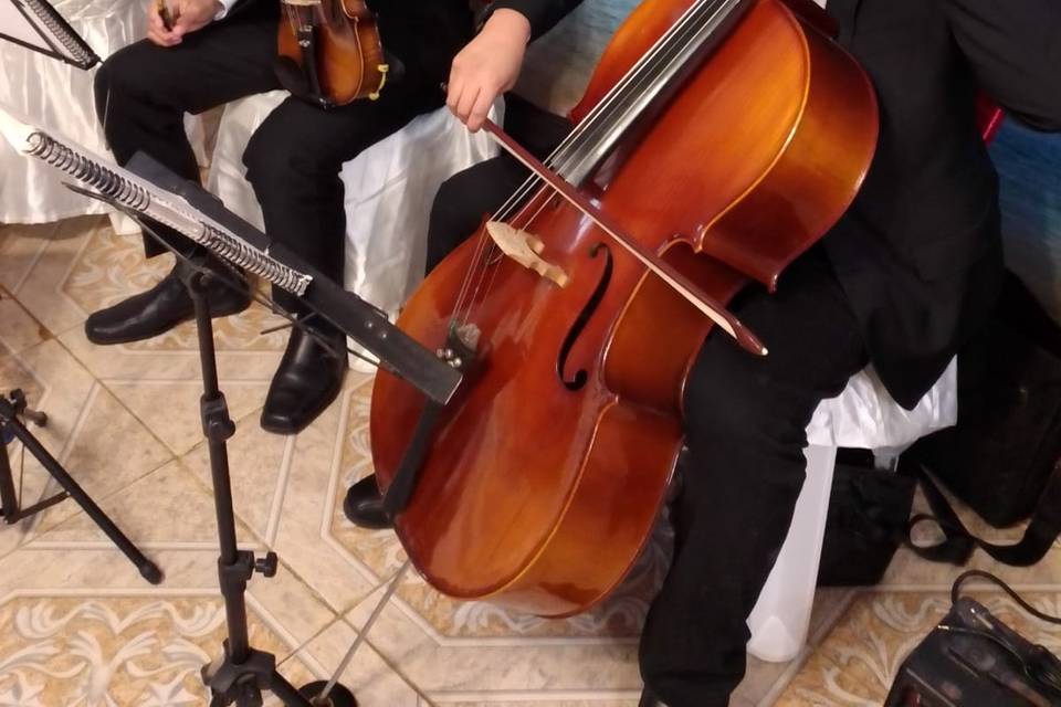 Dúo - violín y chelo