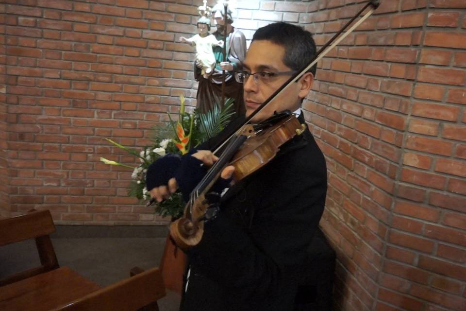 Violín