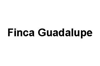 Finca Guadalupe logo