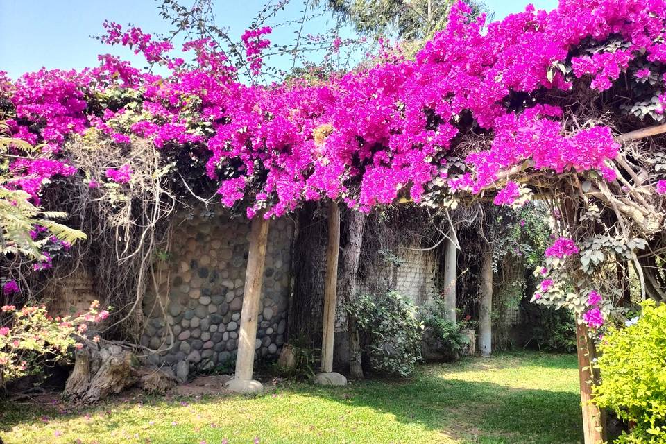 Pasaje a los jardines