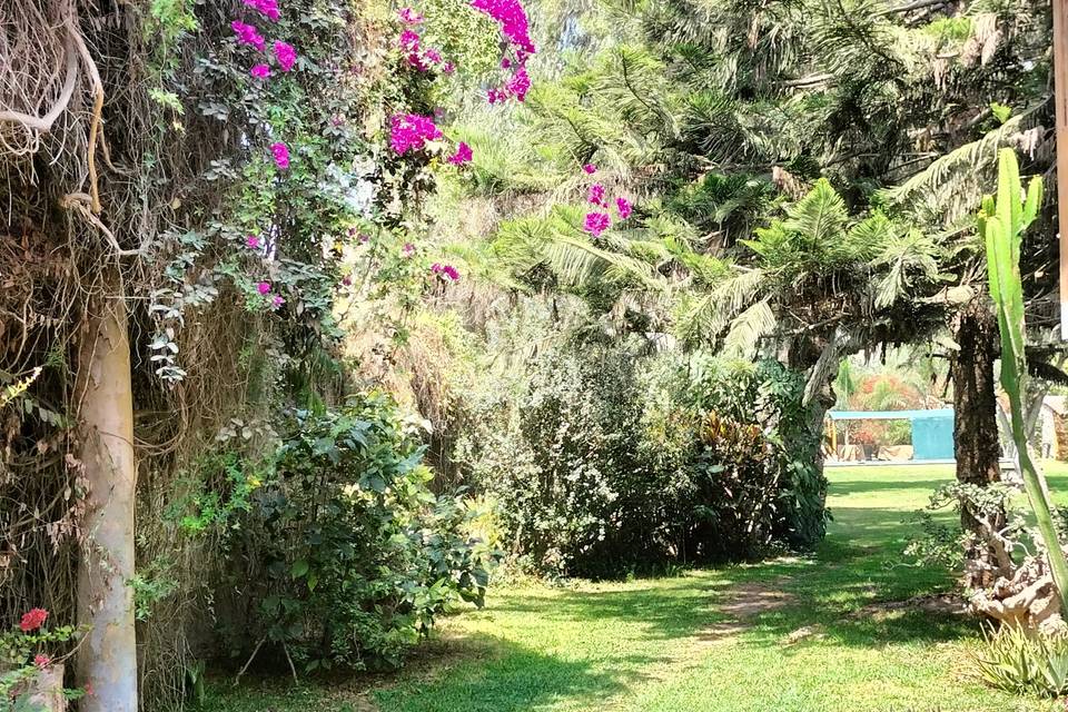 Pasaje a los jardines