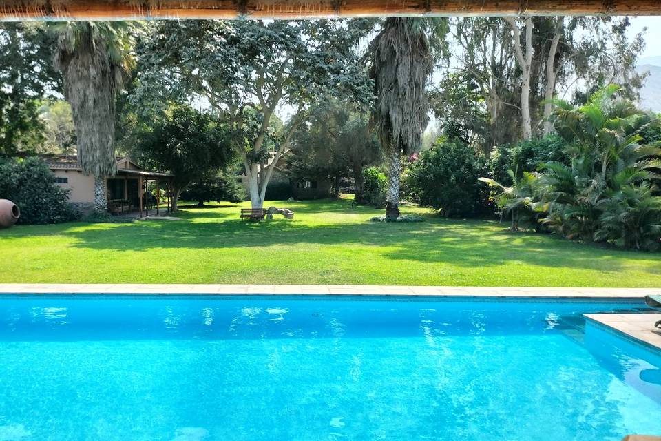 Piscina y jardines