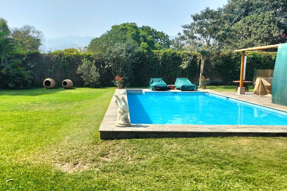 Piscina y jardines