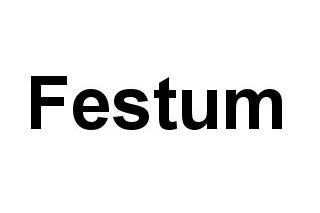 Logo Festum