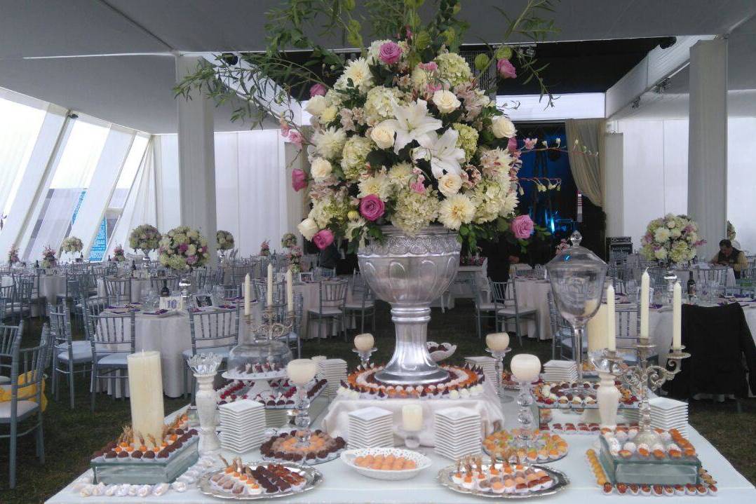 Eventos SHAKY - AROS PARA DECORACIÓN Ofrece a tus