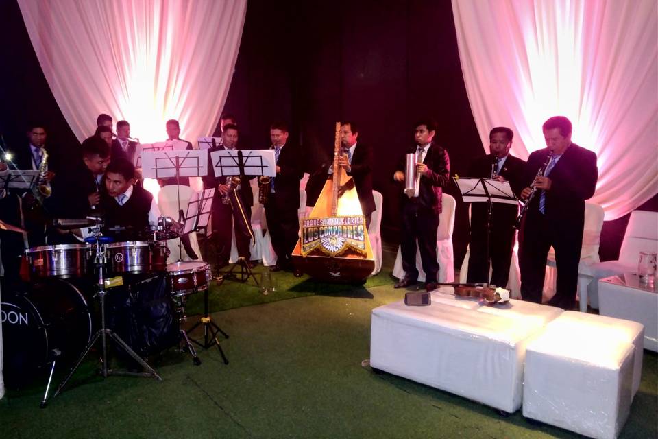 Orquesta típica palpa