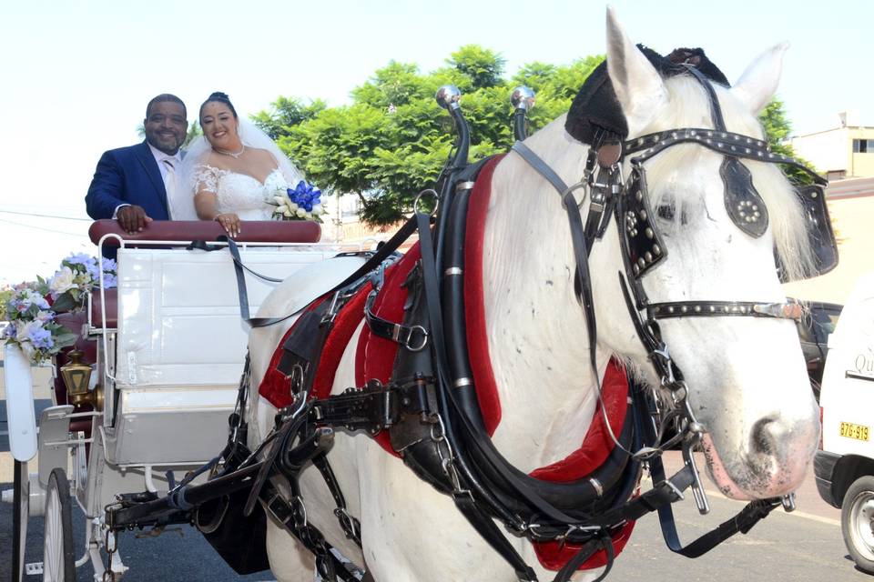 Carlos y Roxana