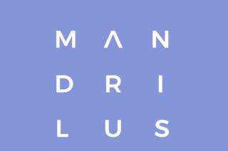 Mandrilus