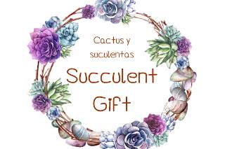 Succulent Gift