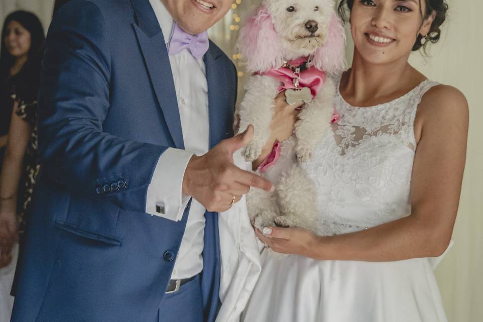 Mascotas en boda