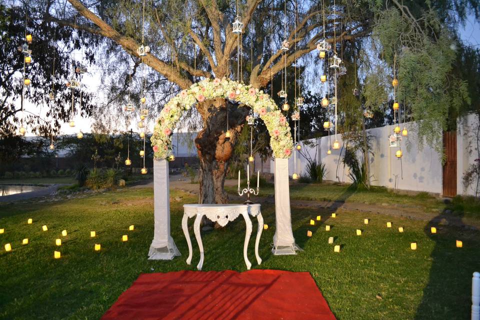 Boda civil en áreas verdes