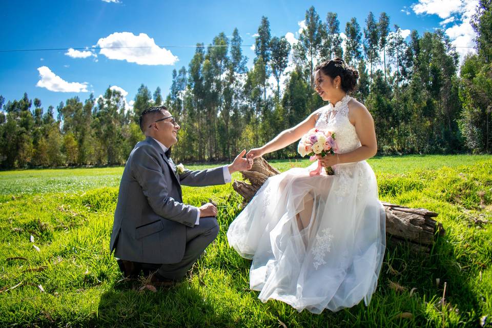 Novio hincado, novia sentada en un jardín