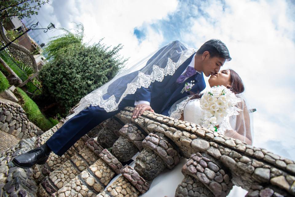 Novios dándose un beso en un jardín