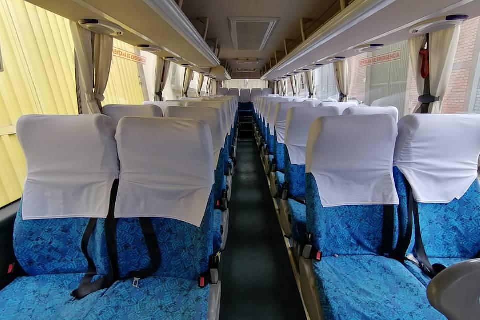 Bus Turistico de 50 pasajeros