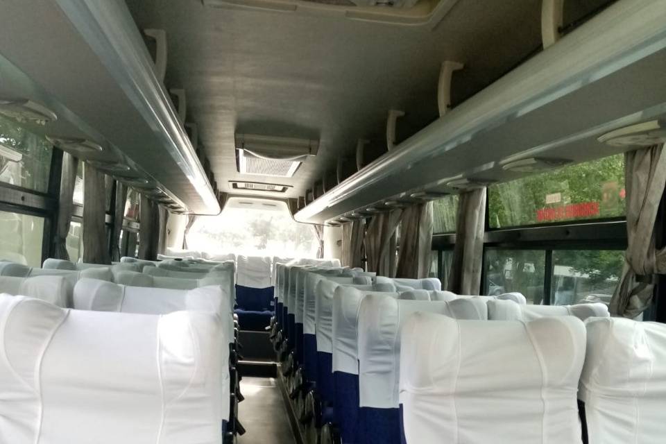 Bus Básico de 47 pasajeros