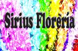 Sirius Florería logo