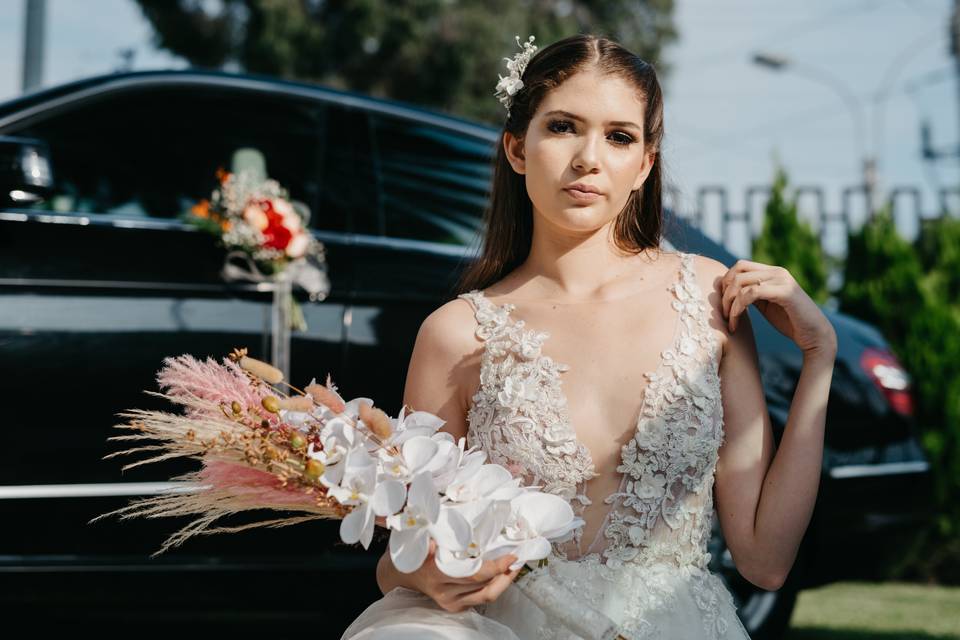 Elegancia