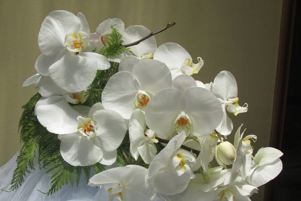 Bouquet de orquídeas