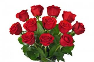 Rosas rojas