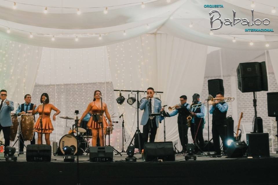 Orquesta Babaloo Internacional