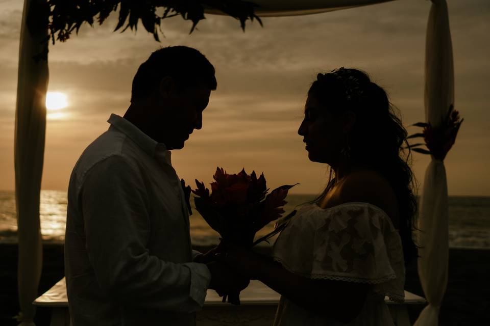 Boda R y M