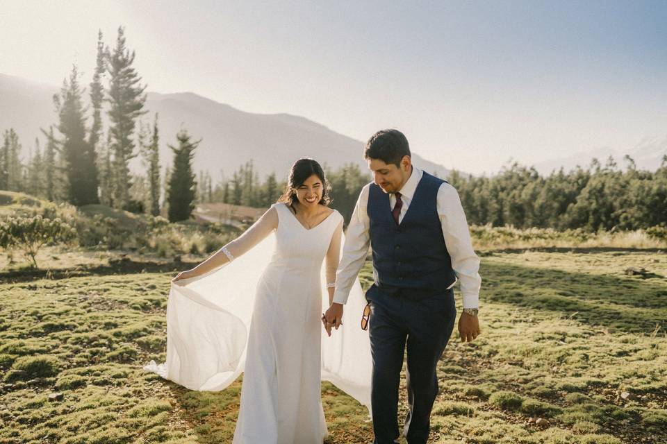 Pareja tomada de la mano en el campo