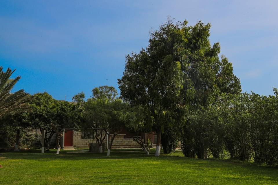 Áreas verdes