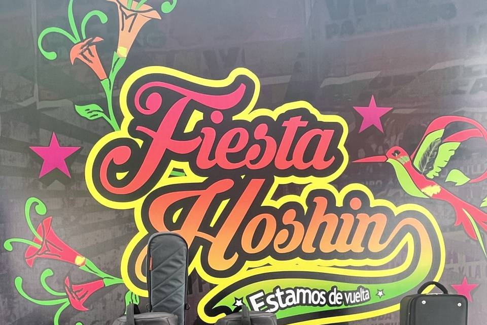 Fiesta Hoshin