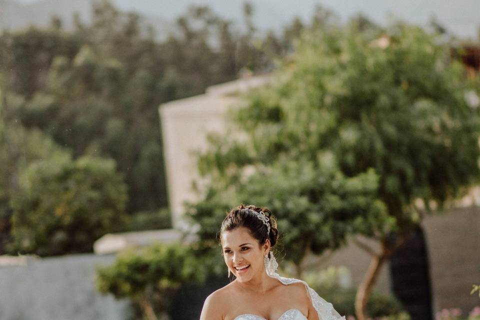 La novia y el vestido