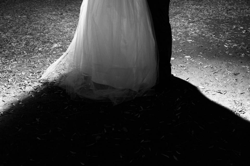 Novios frente a un árbol en blanco y negro