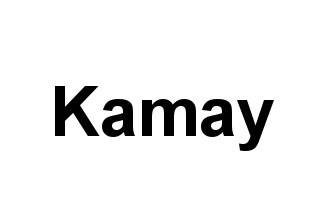 Kamay logo