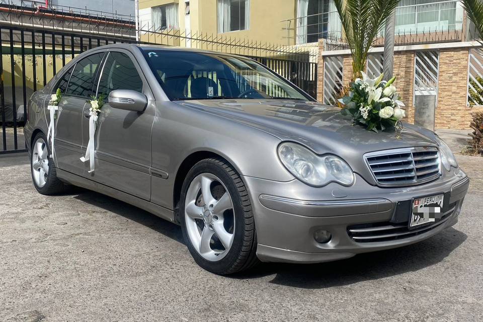 Mercedes Benz color gris