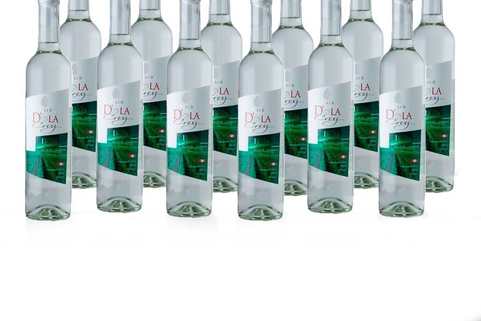 Pisco italia