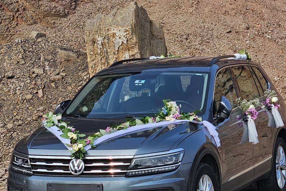 Tiguan decorado