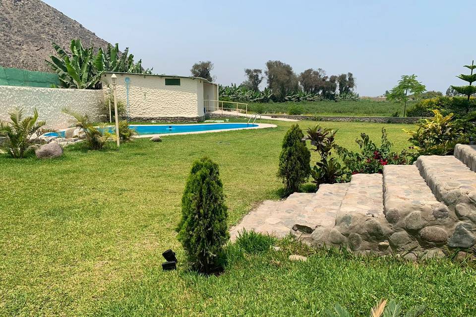 Vista piscinas jardín pricipal