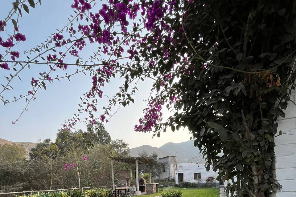 Espacio rodeado de naturaleza para bodas