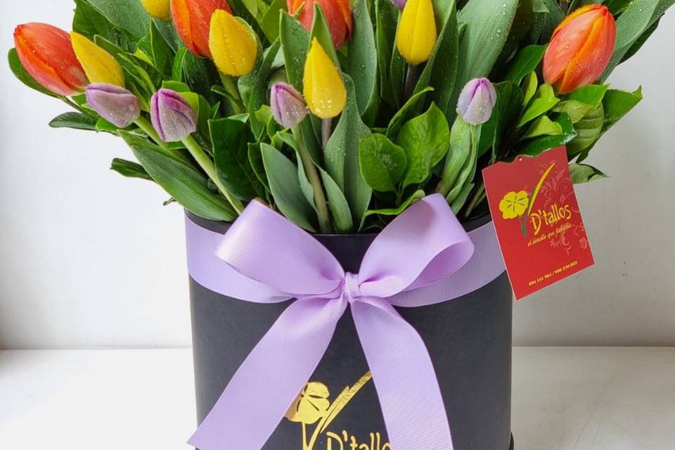 12 tulipanes