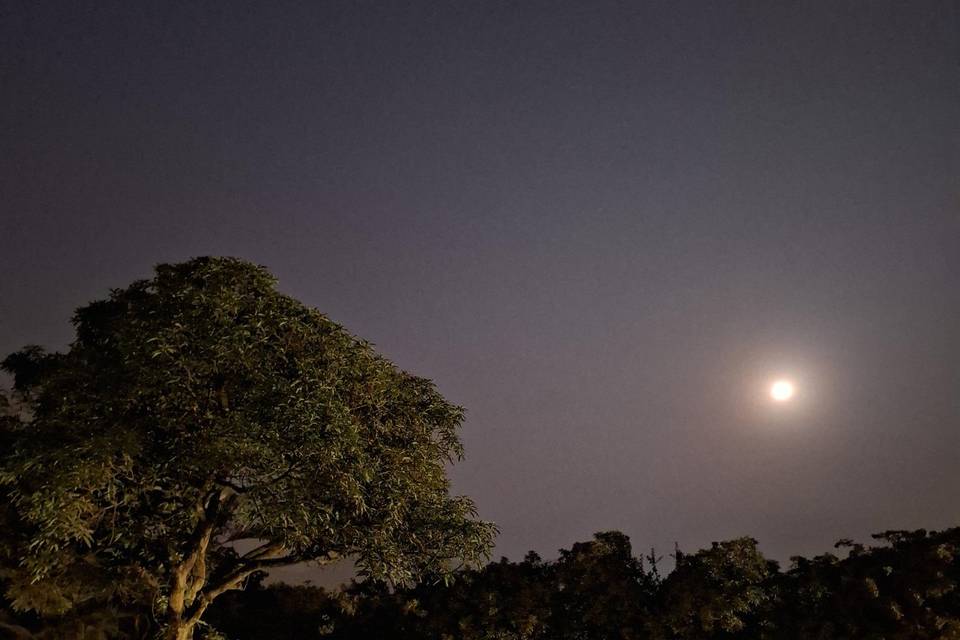 Una luna imponente