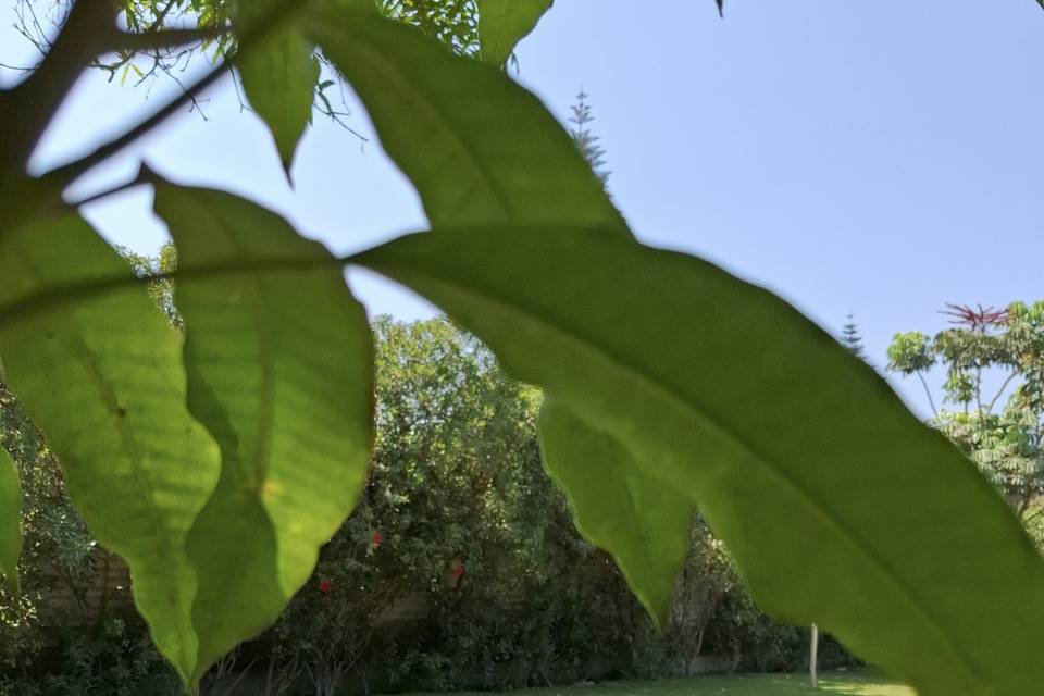 Pura naturaleza!