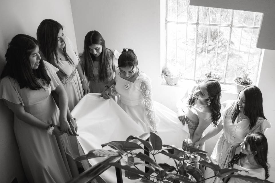 Damas de la novia