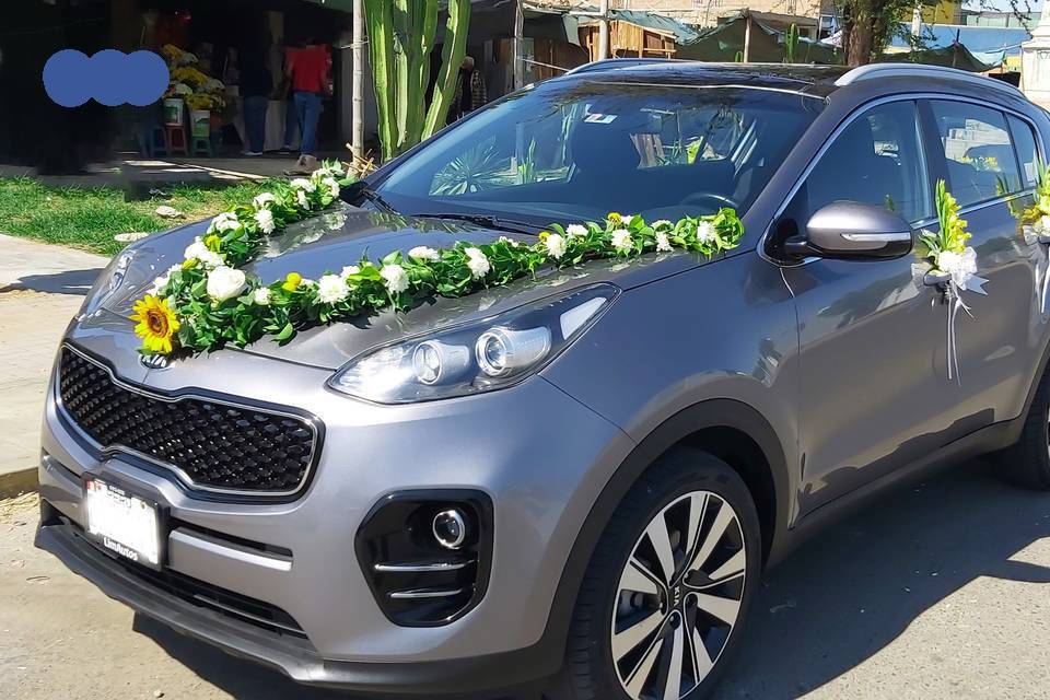 Kia Sportage techo panorámico