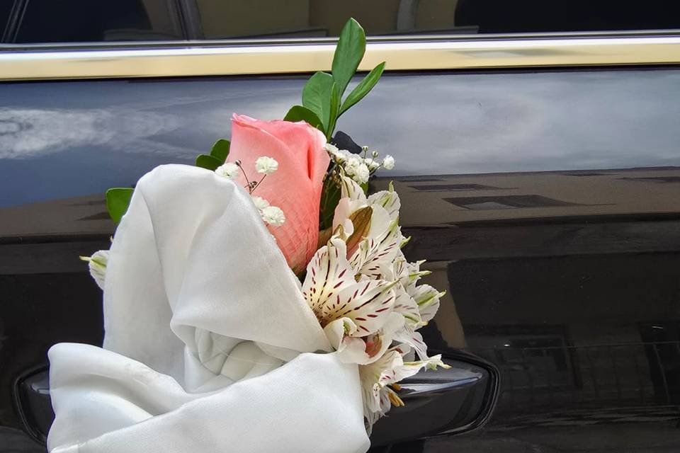 Autos para novias