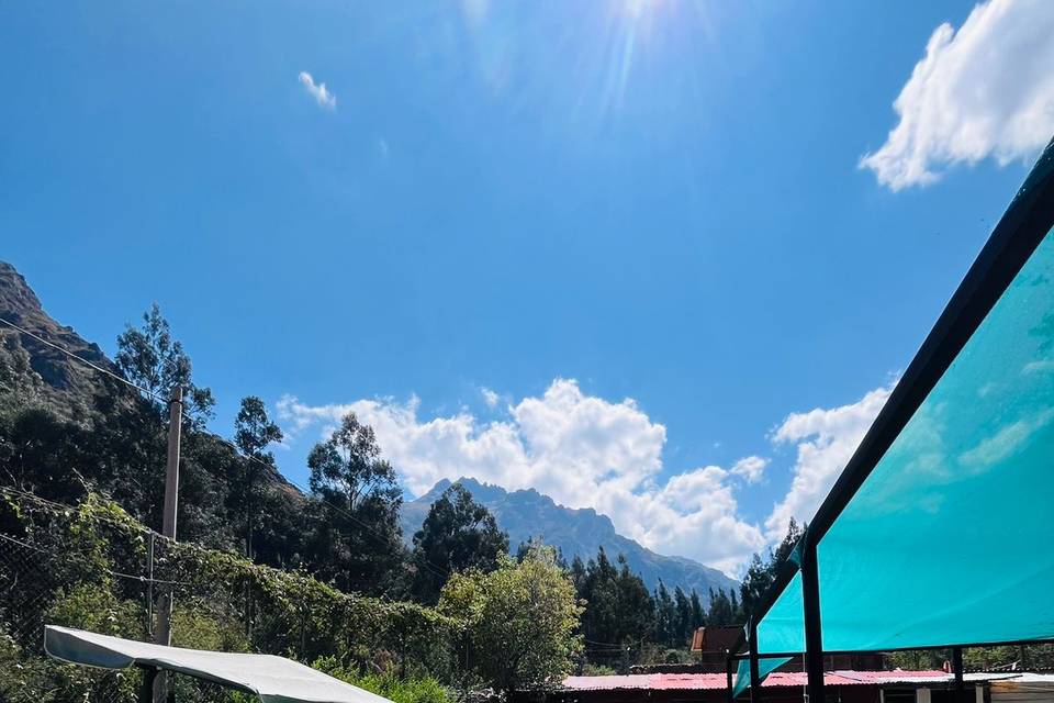 Jardines de la piscina