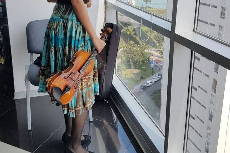 Violinista