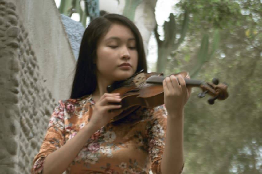 Violinista