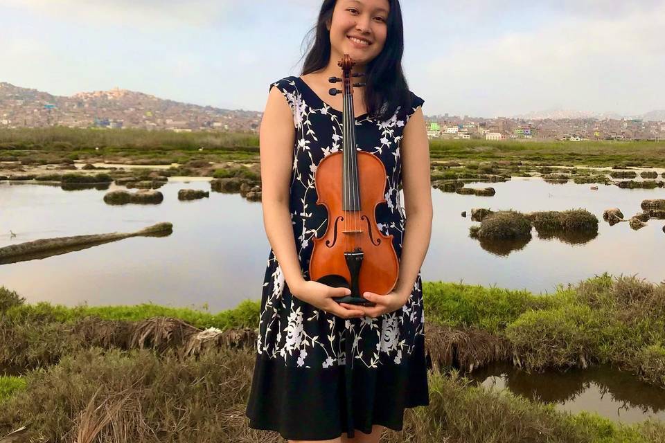 Violinista