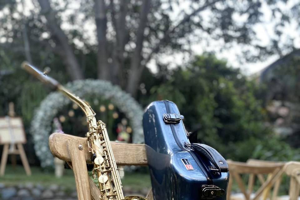 Saxo Alto