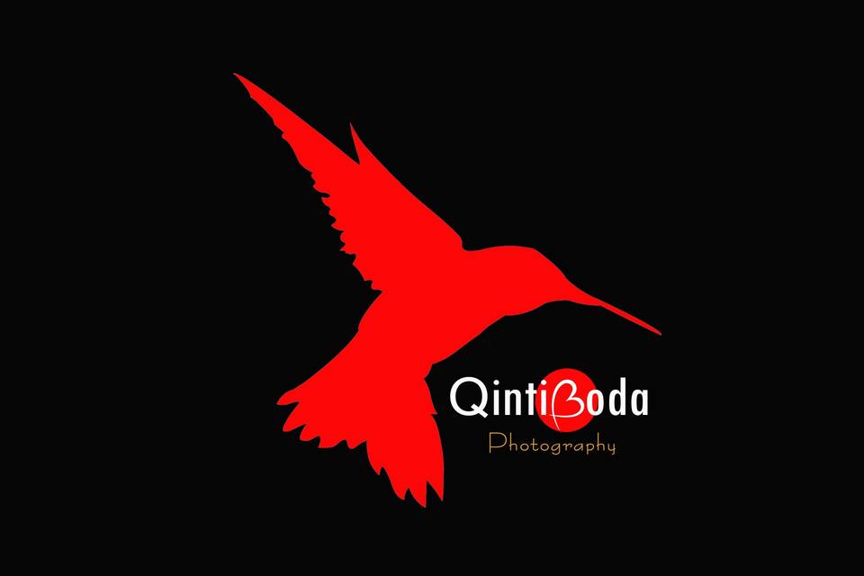Qinti Bird Fotografía